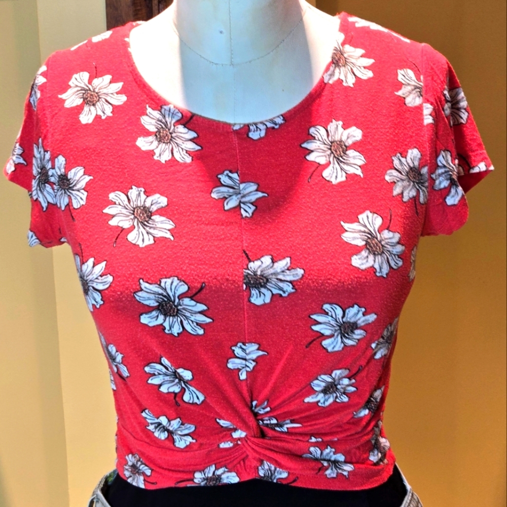 URBAN HERITAGE Vintage Floral Print Patterned Women's Crop Top